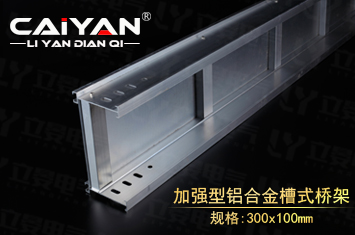 ǿϽʽż300x100mm